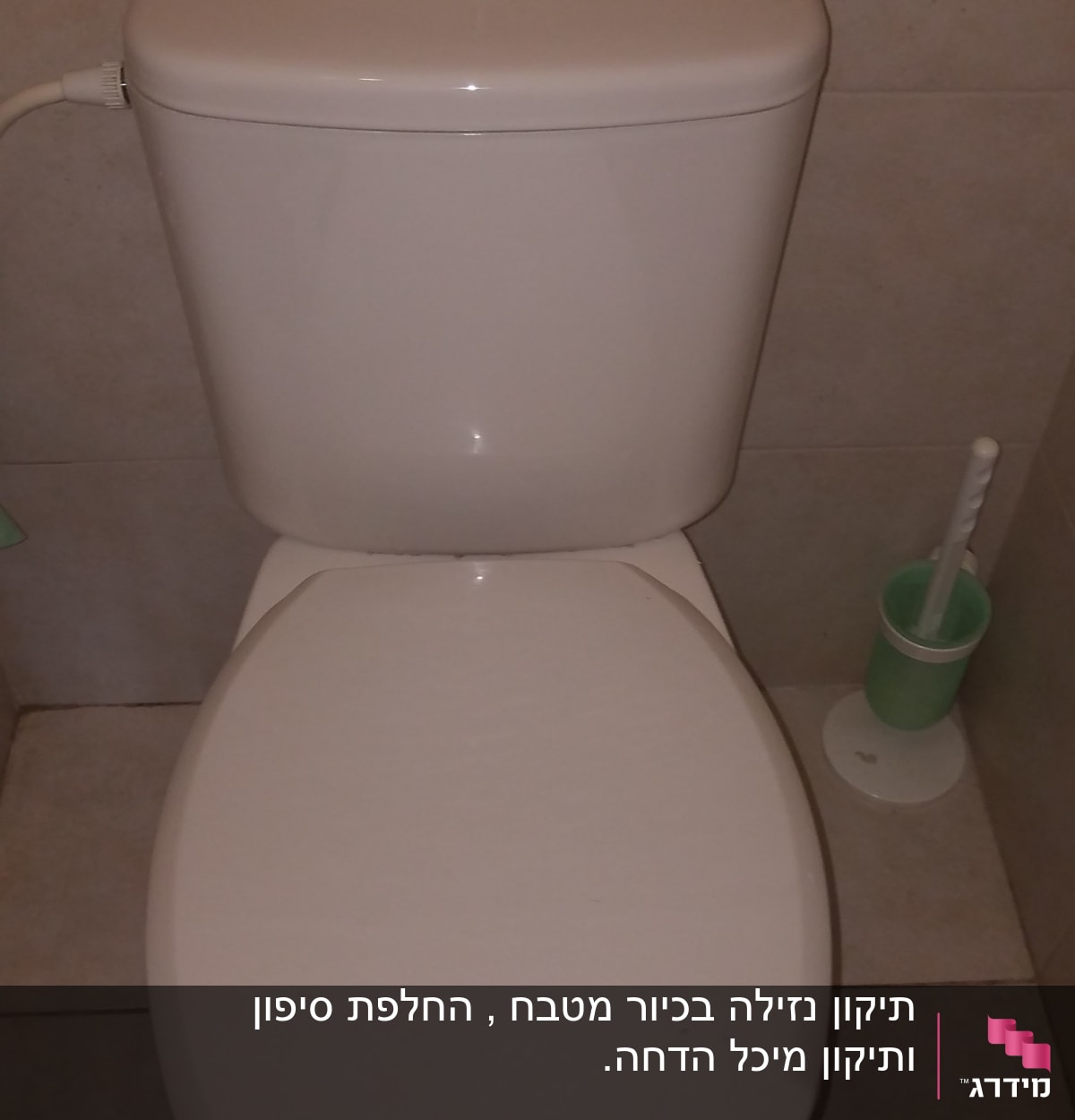 אסלה עם מברשת ניקוי ירוקה